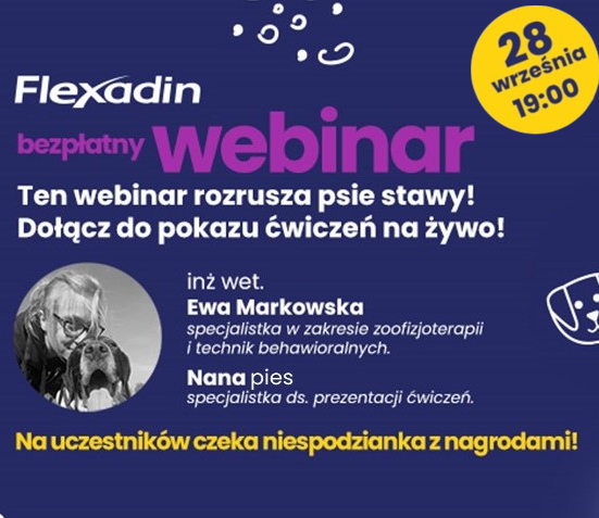 webinar.png Webinar