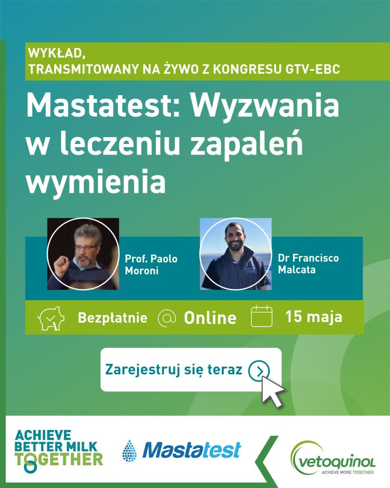 Webinar