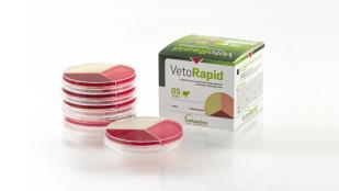 Veto Rapid
